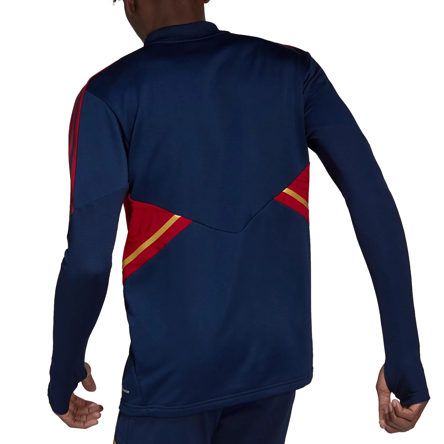 Sudadera adidas Ajax entrenamiento